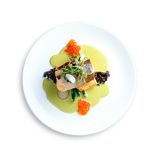 6088409bdfb07fc7b6453dd4_2018_03_23-boehmer-trout